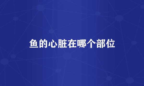 鱼的心脏在哪个部位