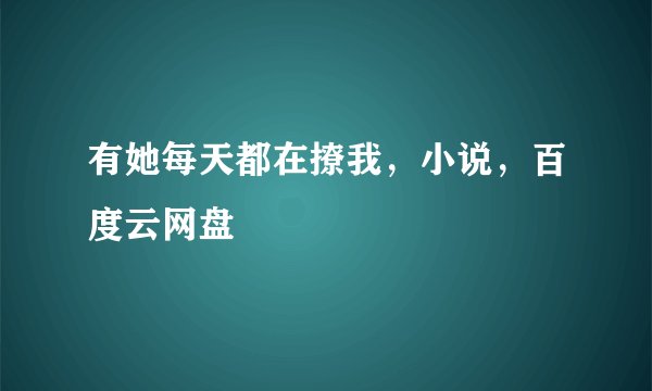有她每天都在撩我，小说，百度云网盘