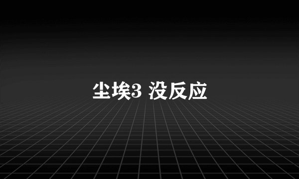 尘埃3 没反应