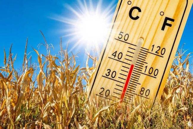 今年夏季,四川多地气温突破40℃!高温对人类的危害有哪些?