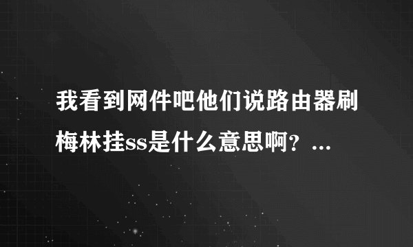 我看到网件吧他们说路由器刷梅林挂ss是什么意思啊？梅林是什么？ss又是什么？