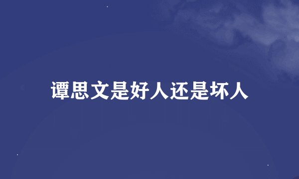谭思文是好人还是坏人