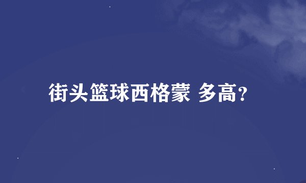 街头篮球西格蒙 多高？