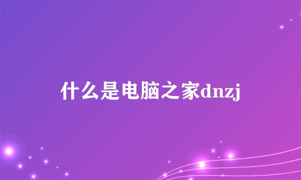什么是电脑之家dnzj