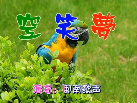 闽南十大经典老歌