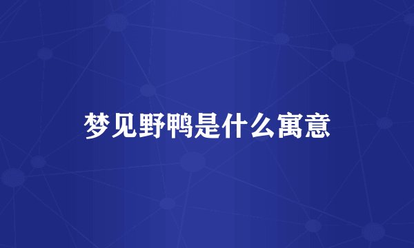 梦见野鸭是什么寓意