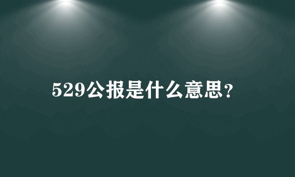 529公报是什么意思？