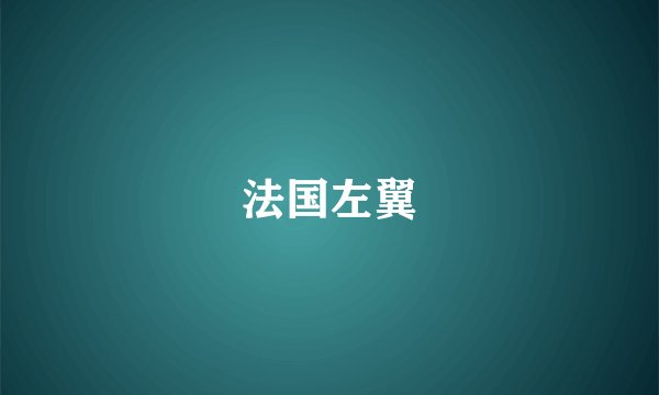 法国左翼