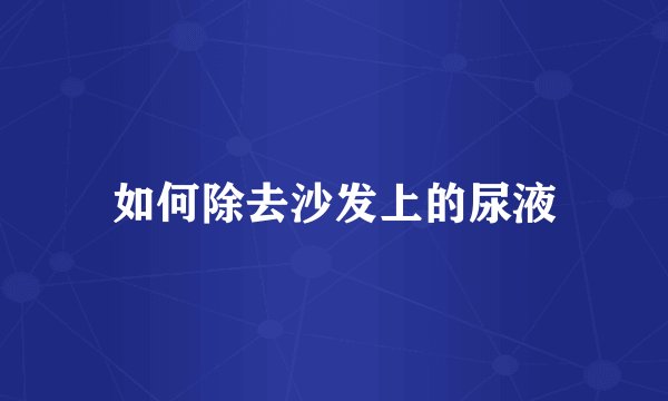 如何除去沙发上的尿液