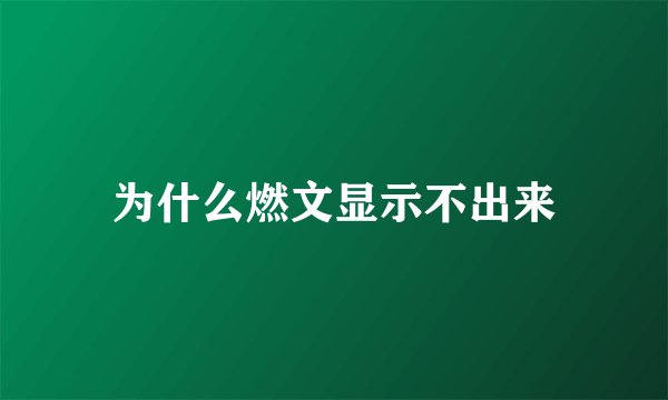 为什么燃文显示不出来
