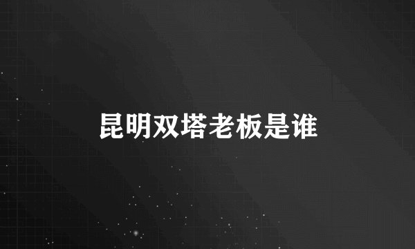 昆明双塔老板是谁