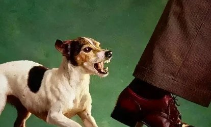 5岁女童遭狗咬毁容,犬主系公职人员!事发当时的具体情况是怎样的?