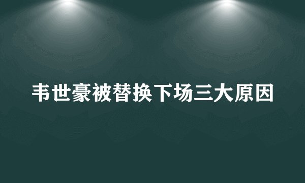 韦世豪被替换下场三大原因