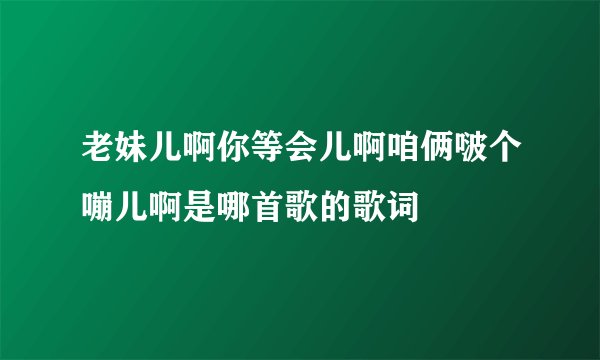 老妹儿啊你等会儿啊咱俩啵个嘣儿啊是哪首歌的歌词
