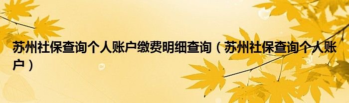 苏州社保查询个人账户缴费明细查询苏州社保查询个人账户