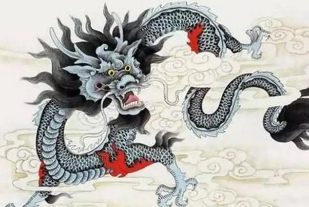 黑牛白角的意思是什么生肖