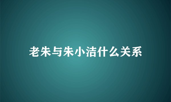 老朱与朱小洁什么关系
