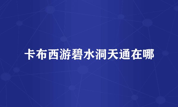 卡布西游碧水洞天通在哪
