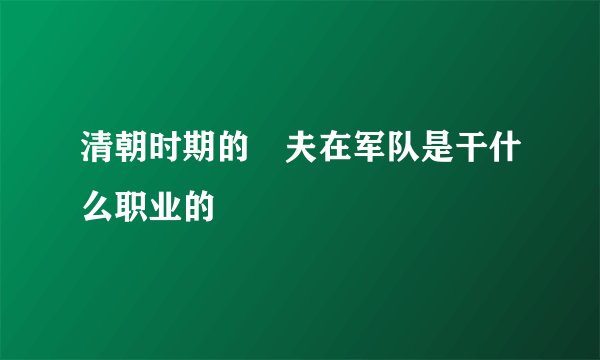 清朝时期的莝夫在军队是干什么职业的