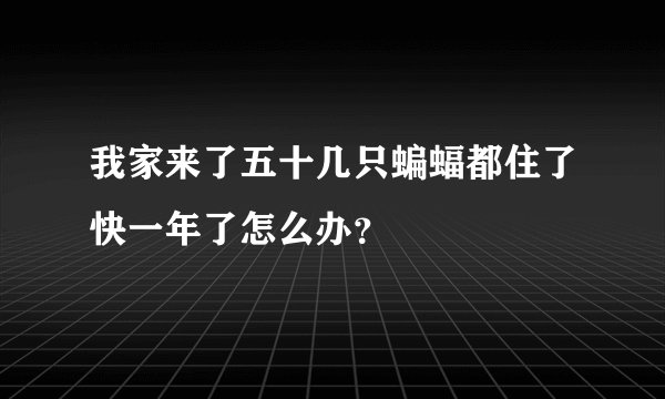 我家来了五十几只蝙蝠都住了快一年了怎么办？