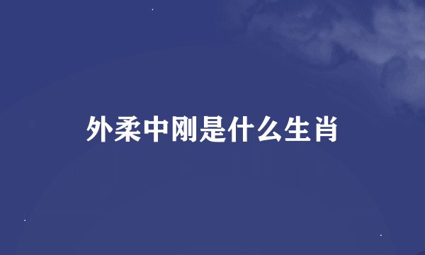外柔中刚是什么生肖