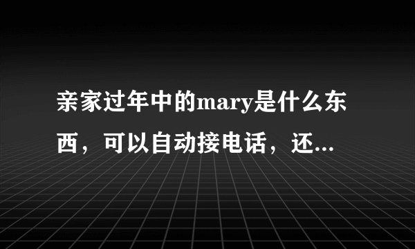 亲家过年中的mary是什么东西，可以自动接电话，还能打电话，可以跟人对话？