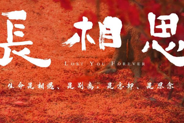 长相思电视剧更新时间表