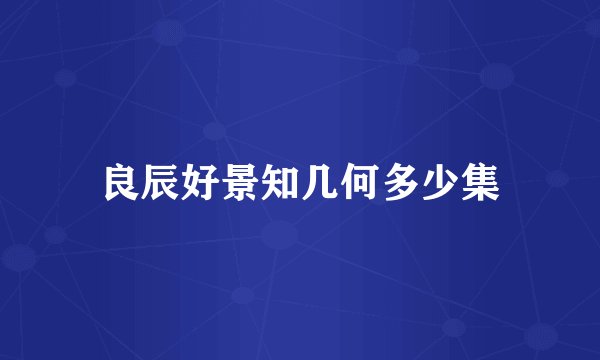 良辰好景知几何多少集