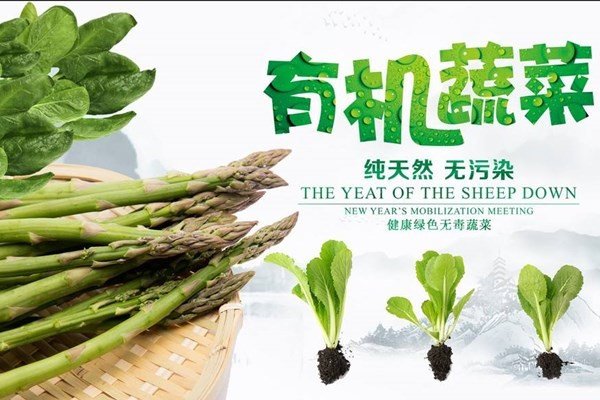 绿色蔬菜有机蔬菜无公害蔬菜从宽到严的排序？