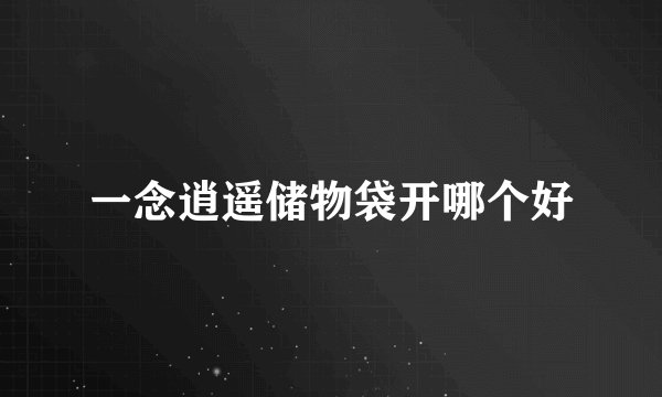 一念逍遥储物袋开哪个好