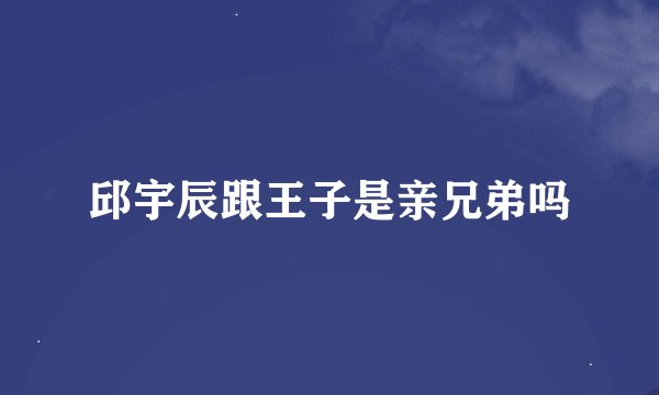 邱宇辰跟王子是亲兄弟吗