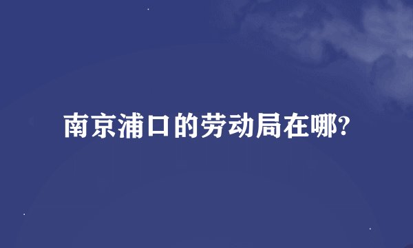 南京浦口的劳动局在哪?