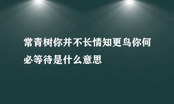 常青树你并不长情知更鸟你何必等待是什么意思