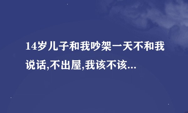 14岁儿子和我吵架一天不和我说话,不出屋,我该不该给他做饭吃？