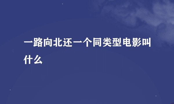 一路向北还一个同类型电影叫什么