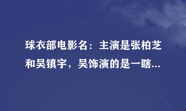 球衣部电影名：主演是张柏芝和吴镇宇，吴饰演的是一瞎子杀手，叫一地鸡毛