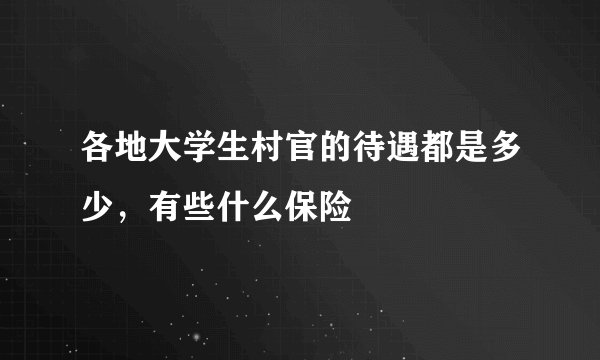 各地大学生村官的待遇都是多少，有些什么保险