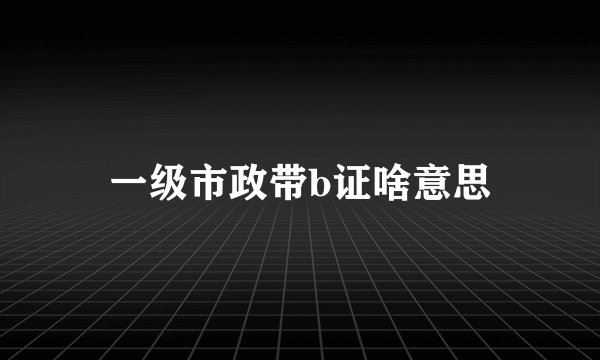 一级市政带b证啥意思