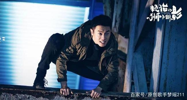 懒猫爱上狮子倒影大结局