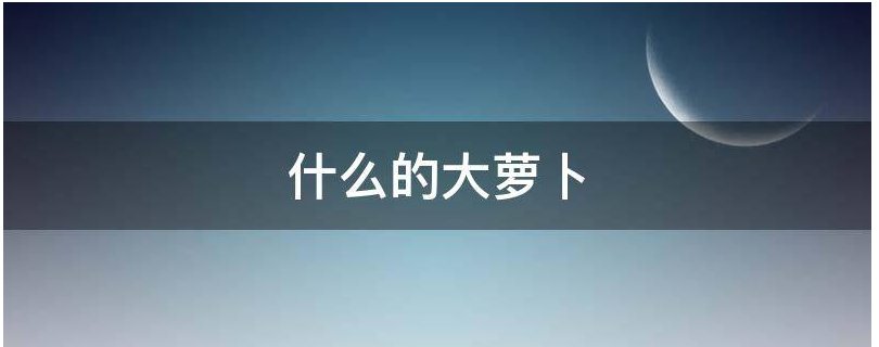 什么的大萝卜