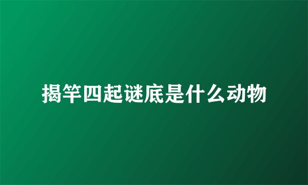 揭竿四起谜底是什么动物