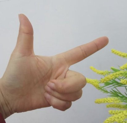数字手势0到10的手势