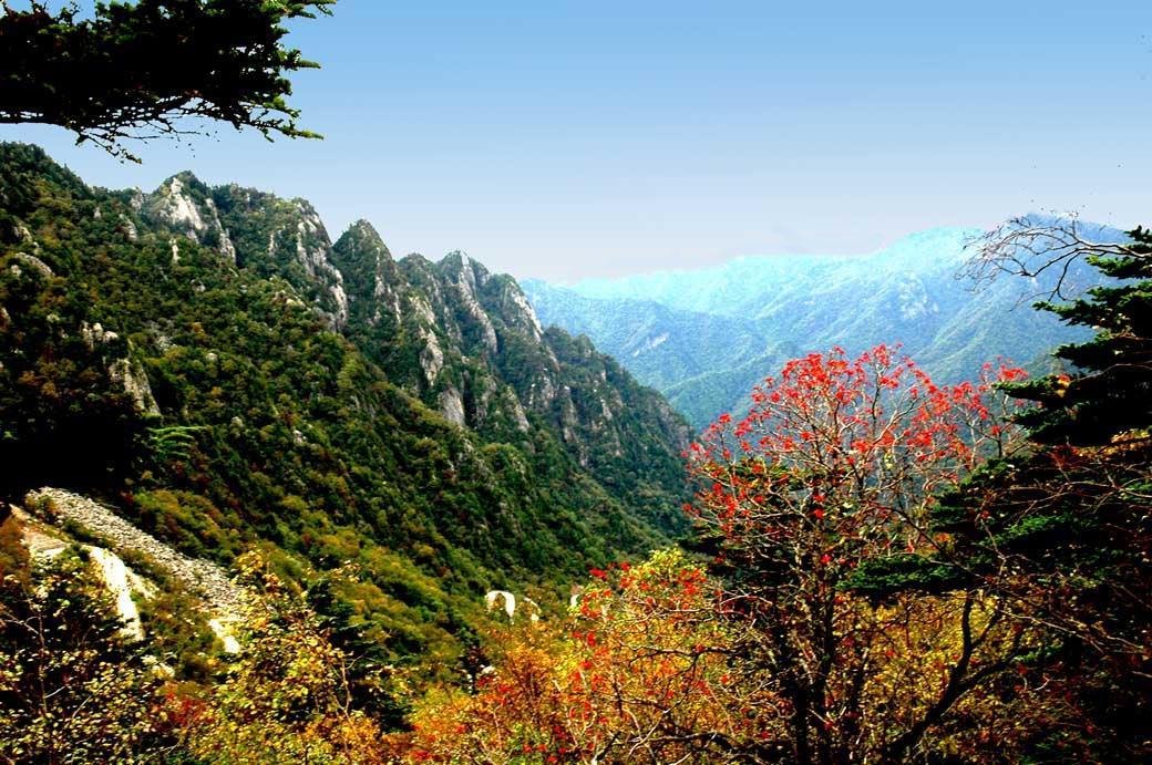 太白山出现落石大量游客滞留,是否有游客因此受伤?