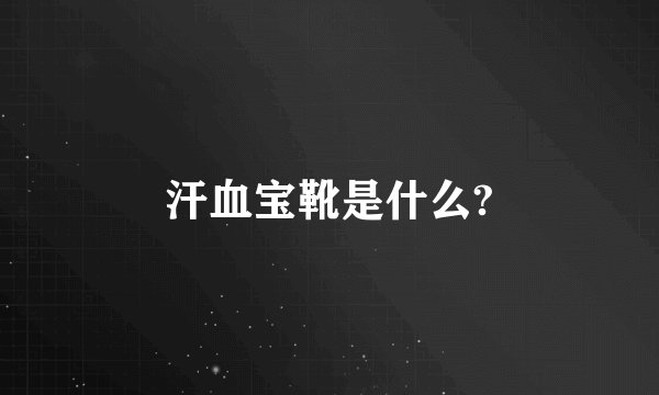 汗血宝靴是什么?