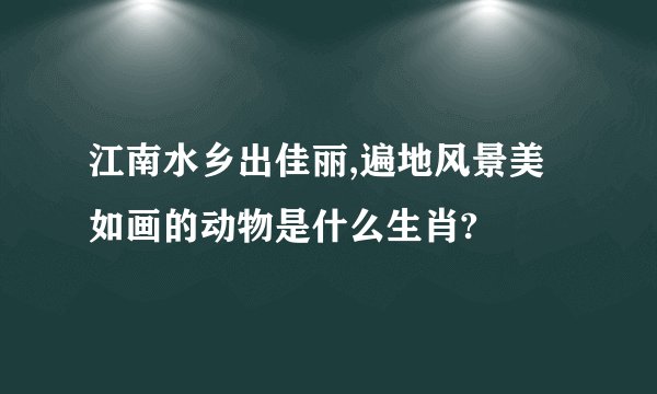 江南水乡出佳丽,遍地风景美如画的动物是什么生肖?