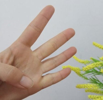 数字手势0到10的手势