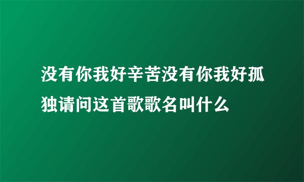 没有你我好辛苦没有你我好孤独请问这首歌歌名叫什么
