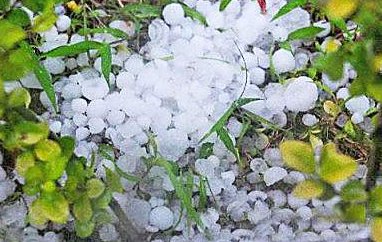 安徽湖南风雹灾害造成了什么损失?