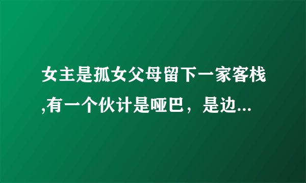女主是孤女父母留下一家客栈,有一个伙计是哑巴，是边陲小镇，男主是这个国家唯一的王爷，是皇上的弟弟。