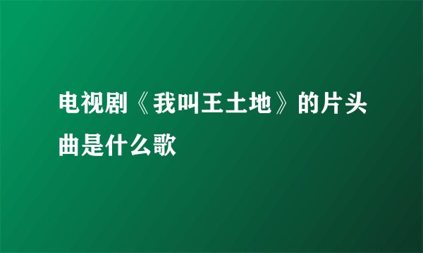 电视剧《我叫王土地》的片头曲是什么歌